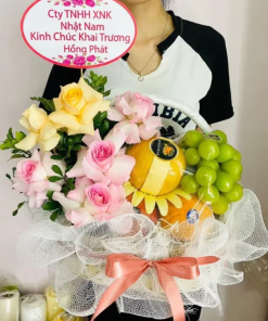 Giỏ Hoa Quả Chúc Mừng Khai Trương iOvi Net - GTCKT10
