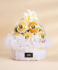 Giỏ Quà Trái Cây Giỏ Mừng Khai Trương iOvi Net  - GTCKT25