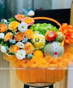 Giỏ Quà Trái Cây Thăm Bệnh iOvi Net - GTCTB11