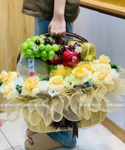 Giỏ Quà Trái Cây Thăm Bệnh iOvi Net - GTCTB20