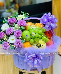 Giỏ Quà Trái Cây Giỏ Mừng Khai Trương iOvi Net  - GTCKT19