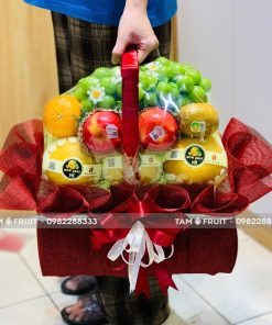 Giỏ Quà Trái Cây Thăm Bệnh iOvi Net - GTCTB15