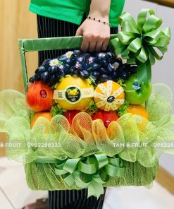 Giỏ Quà Trái Cây Giỏ Mừng Khai Trương iOvi Net  - GTCKT21