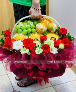 Giỏ Quà Trái Cây Thăm Bệnh iOvi Net - GTCTB14