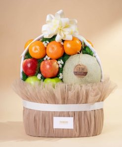 Giỏ Quà Trái Cây Giỏ Mừng Khai Trương iOvi Net  - GTCKT27