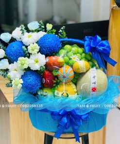 Giỏ Quà Trái Cây Thăm Bệnh iOvi Net - GTCTB18